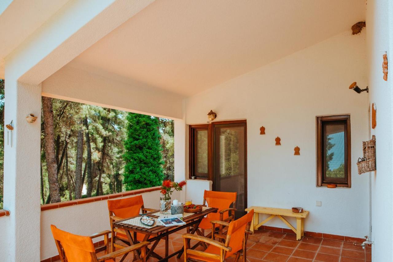 סאני ביץ' Beautiful Summerhouse In Sani'S Pine Forest מראה חיצוני תמונה