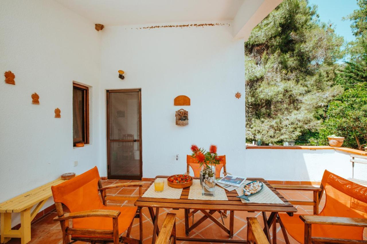 סאני ביץ' Beautiful Summerhouse In Sani'S Pine Forest מראה חיצוני תמונה