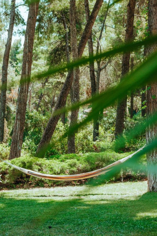 סאני ביץ' Beautiful Summerhouse In Sani'S Pine Forest מראה חיצוני תמונה