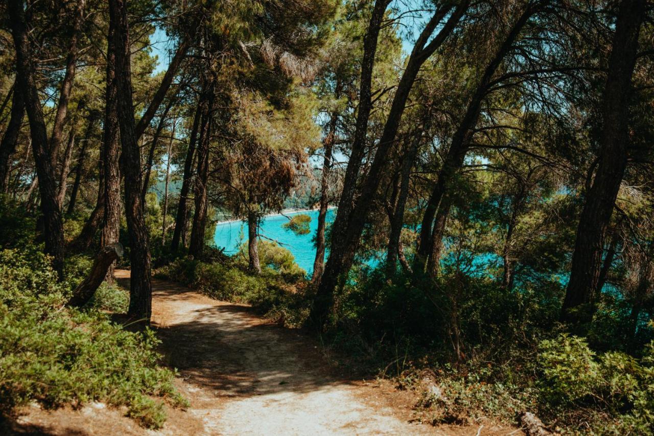 סאני ביץ' Beautiful Summerhouse In Sani'S Pine Forest מראה חיצוני תמונה