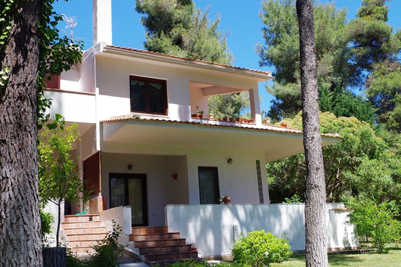 סאני ביץ' Beautiful Summerhouse In Sani'S Pine Forest מראה חיצוני תמונה